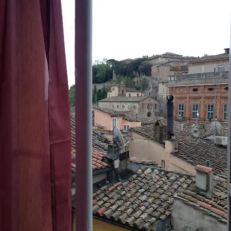 Great Fortebraccio *